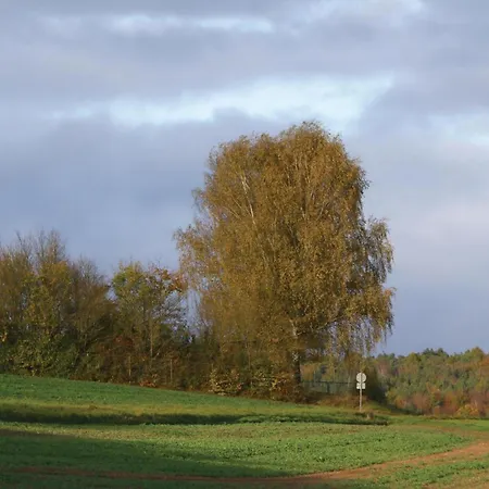 32 In * Kirchheim (Hessen)